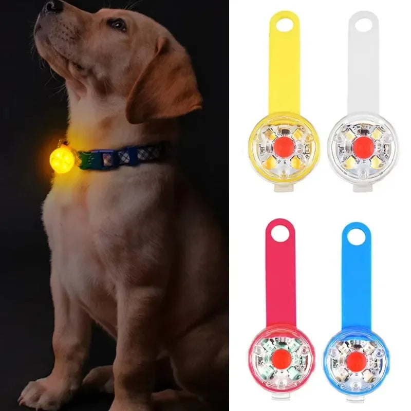 Dog collar, loss collar, weatherproof LED