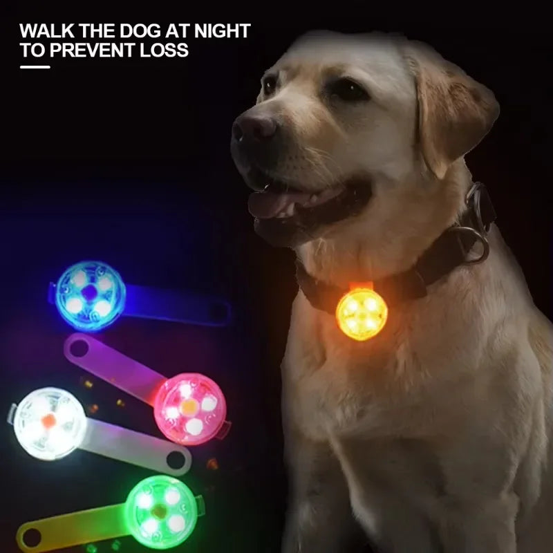 Dog collar, loss collar, weatherproof LED