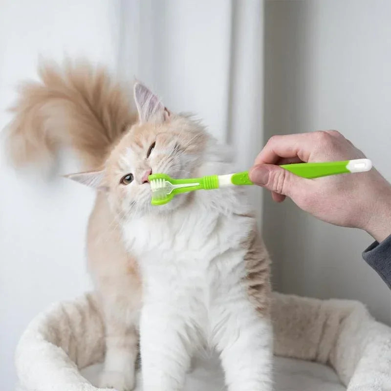 3-Sided Pet Toothbrush Dog