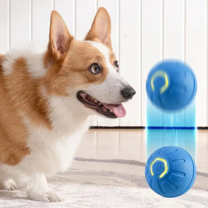 Automatic Moving Dog Toy