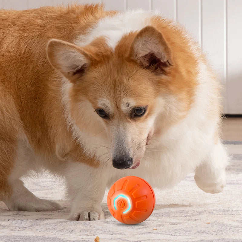 Automatic Moving Dog Toy