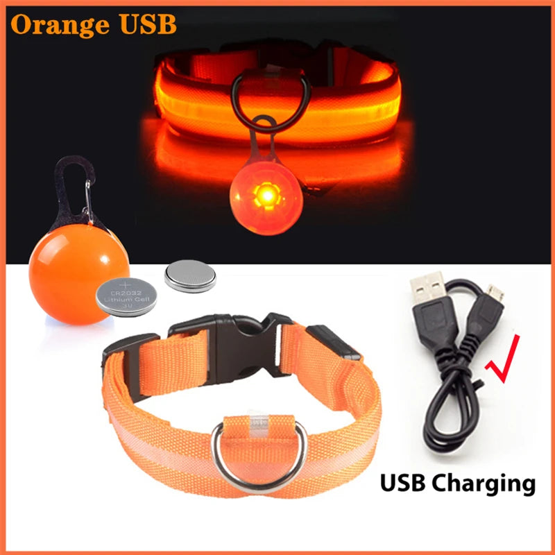Charging Glowing Dog Collar