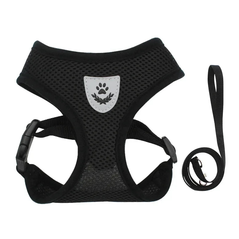 Summer Cat Dog Harness