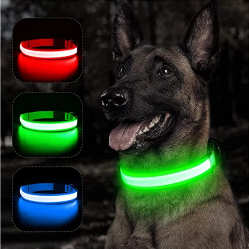 Charging Glowing Dog Collar