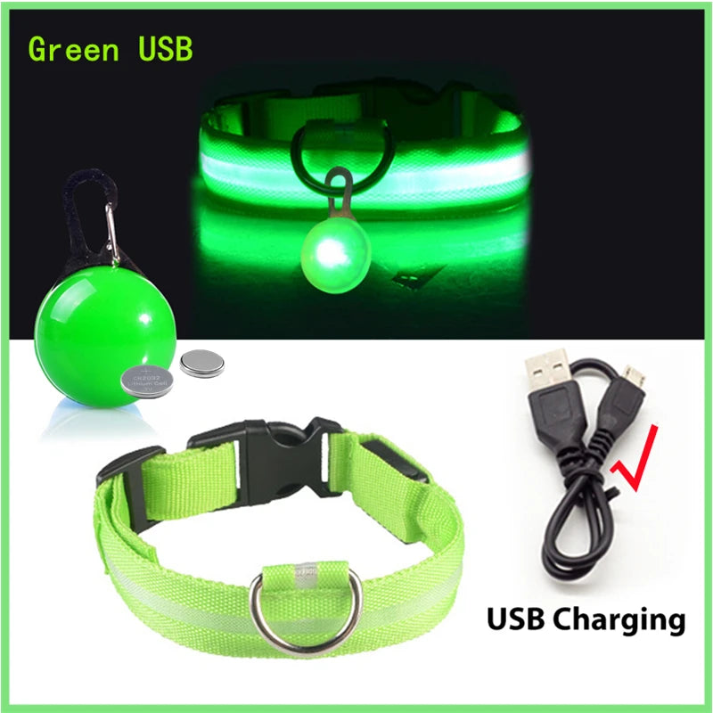 Charging Glowing Dog Collar
