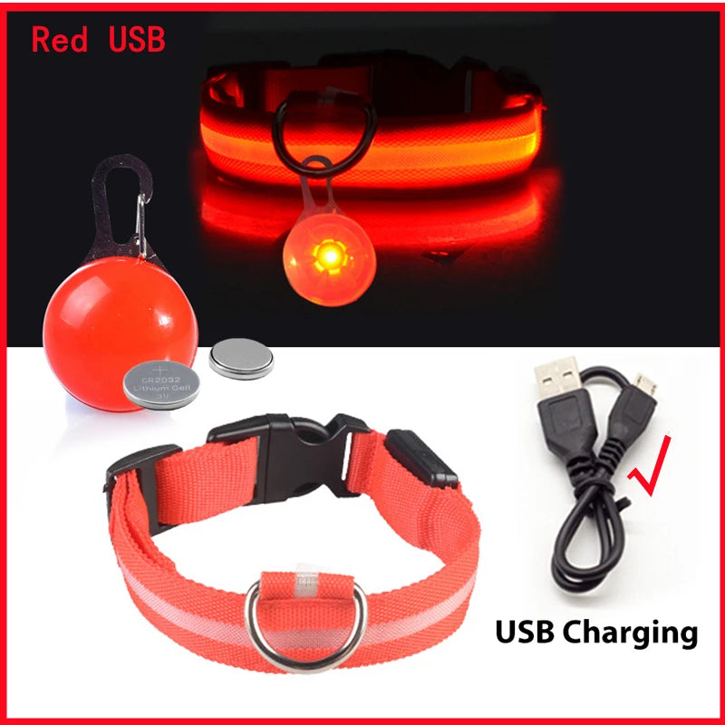 Charging Glowing Dog Collar