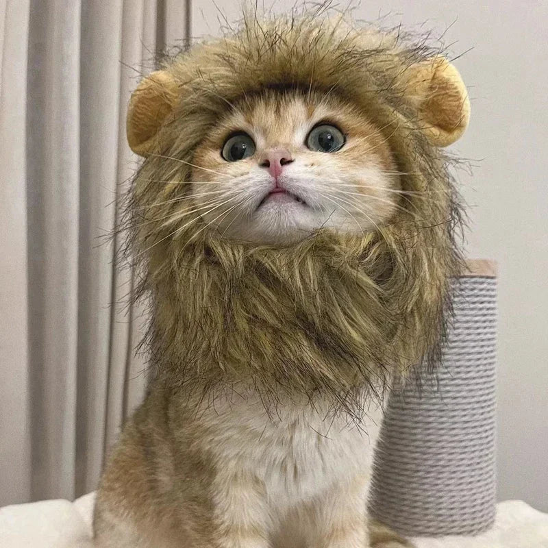New Cute Funny Pets Clothes Cap Cute Cat Wig Lion Mane Costume Cosplay Kitten Dog Hat with Ears Fancy Party Supplies