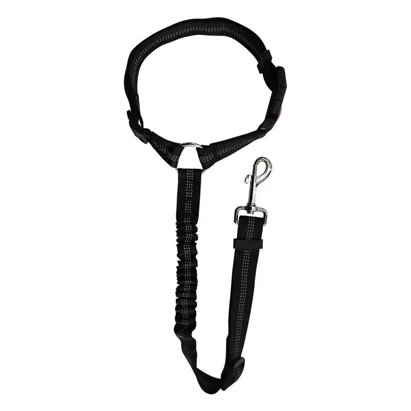 Pet harness dog leash