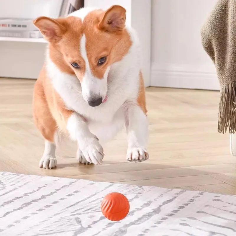Pet Toy Ball Automatic Moving