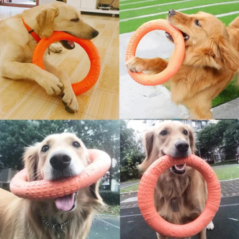 Orange Dog Toys