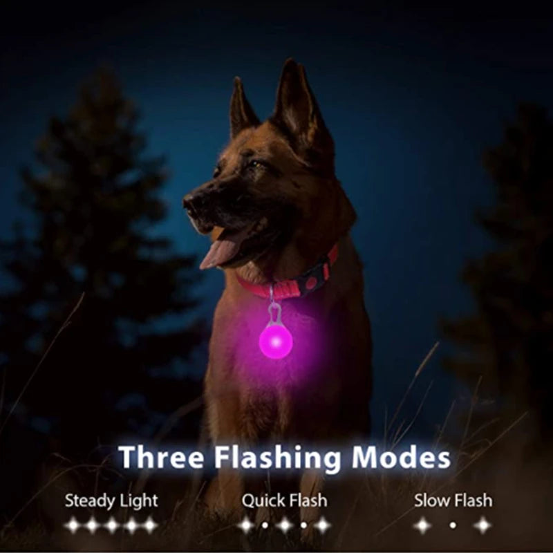 Charging Glowing Dog Collar