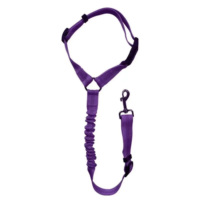 Pet harness dog leash