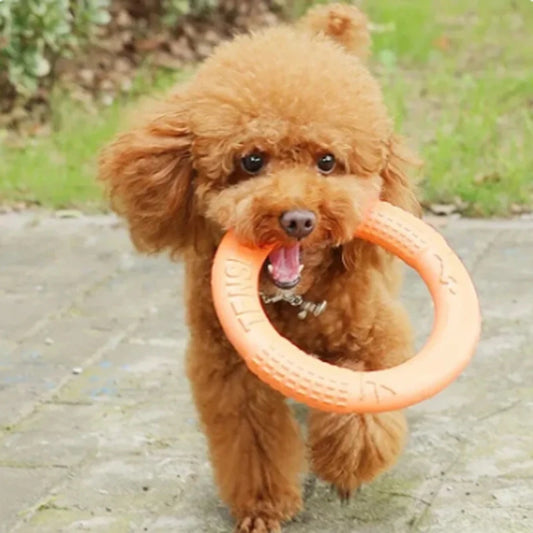 Orange Dog Toys