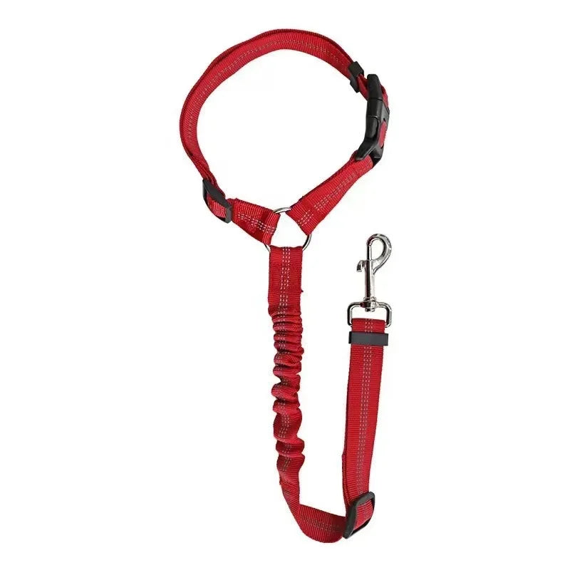 Pet harness dog leash