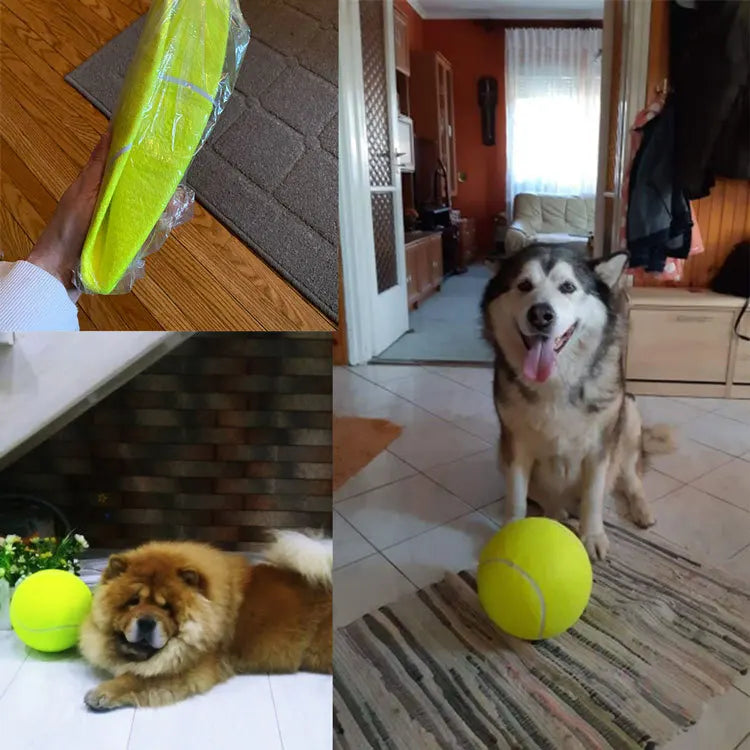Dog Tennis Ball Giant Pet Toys