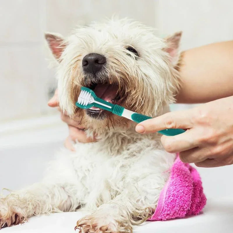 3-Sided Pet Toothbrush Dog