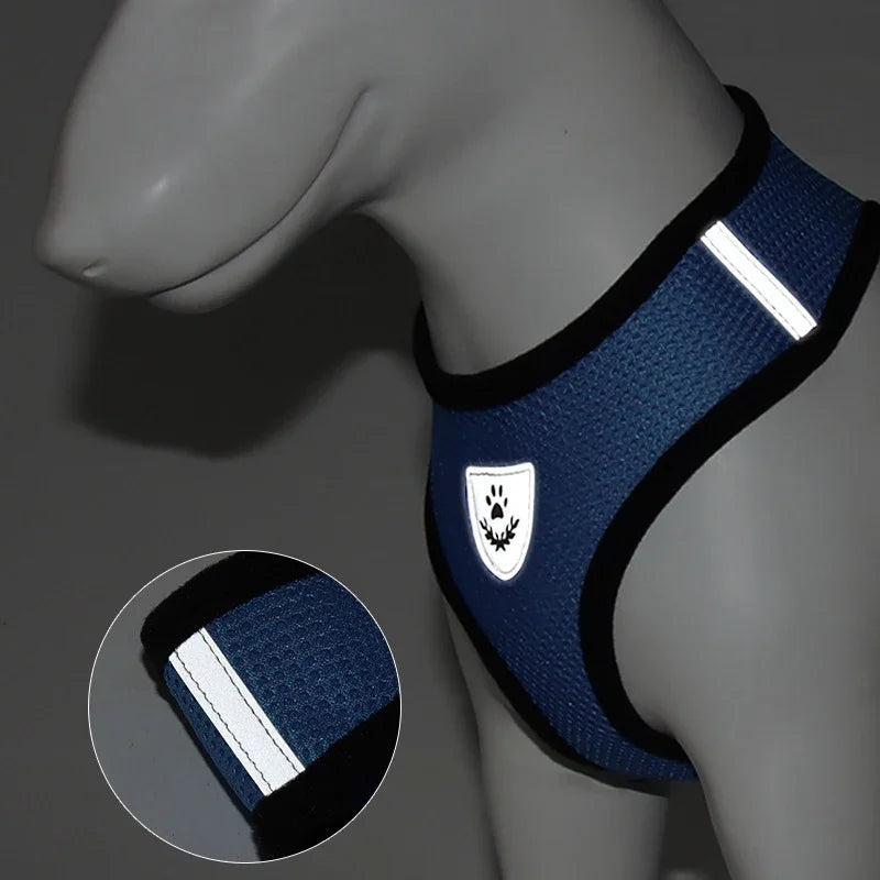 Cat Harness Vest Walking Lead Leash