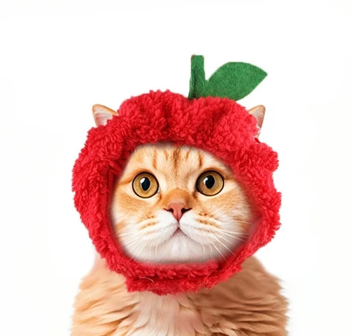 Funny Pet Headband Plush Yarn Cat Dog Cap Panda Pig Pet Warm Pet Hat Chick Cosplay Supplies Headdress Costume