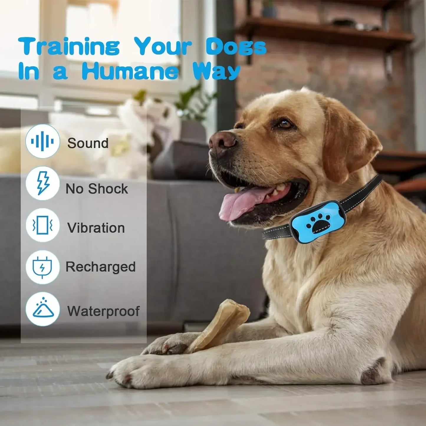 Pet Dog Anti Barking Device
