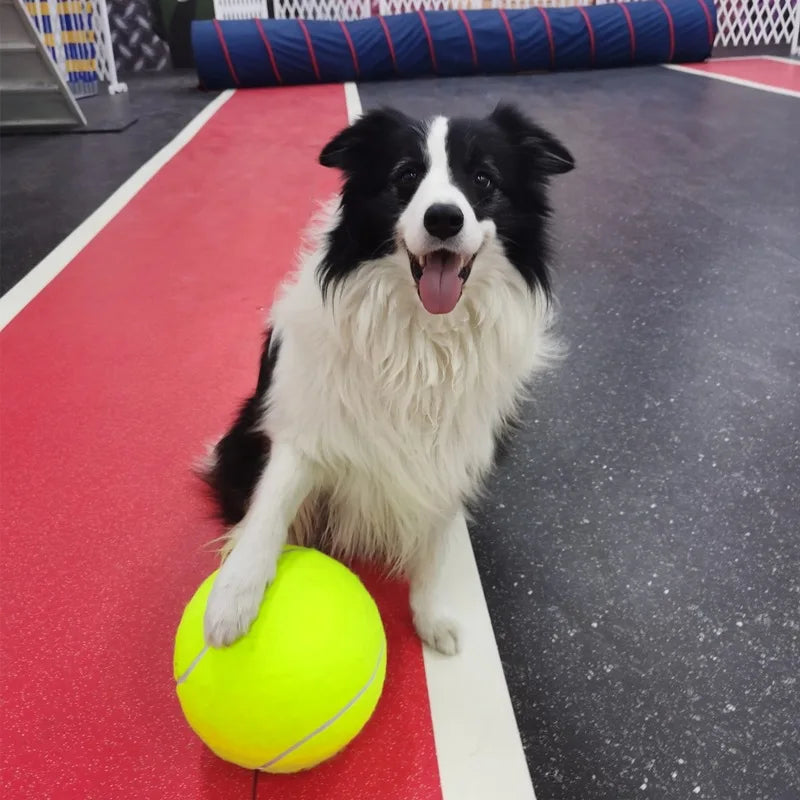 Dog Tennis Ball Giant Pet Toys