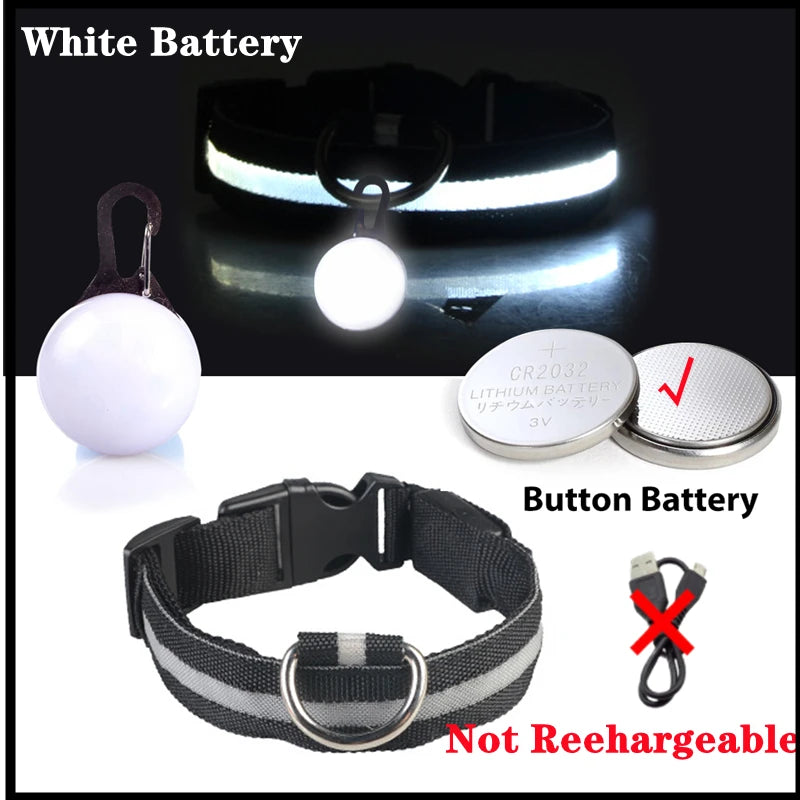 Charging Glowing Dog Collar