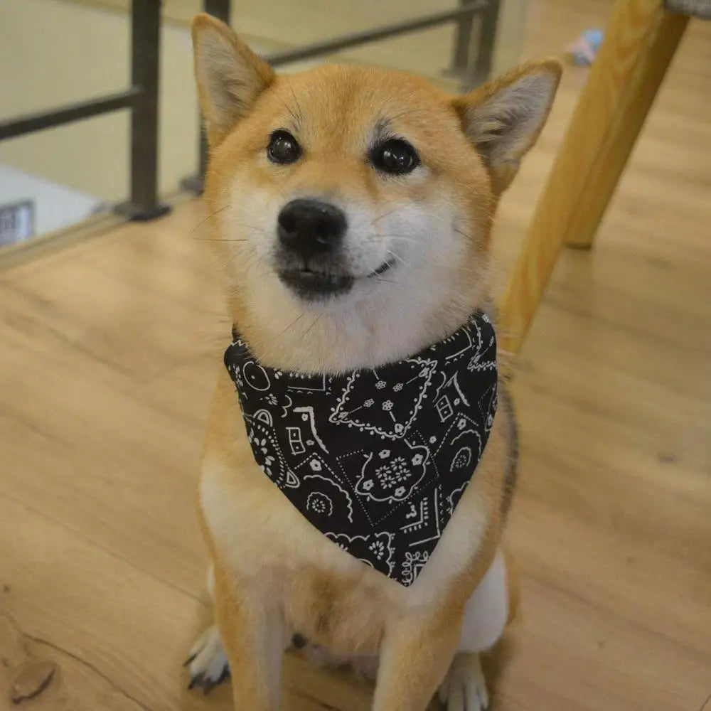 Dog Bandanas