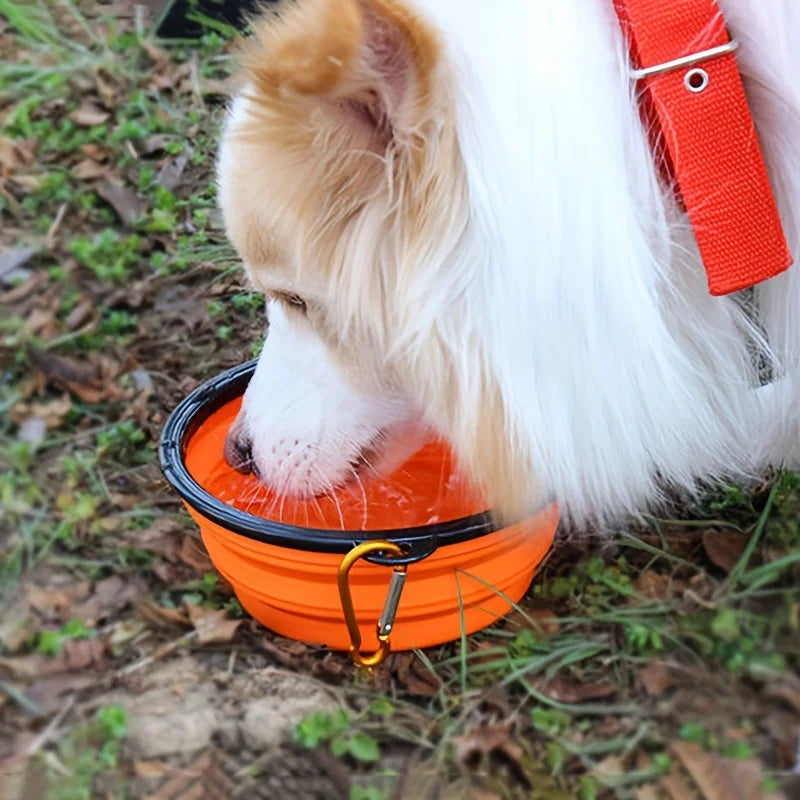 Frame Bowl with Keychain 350ML