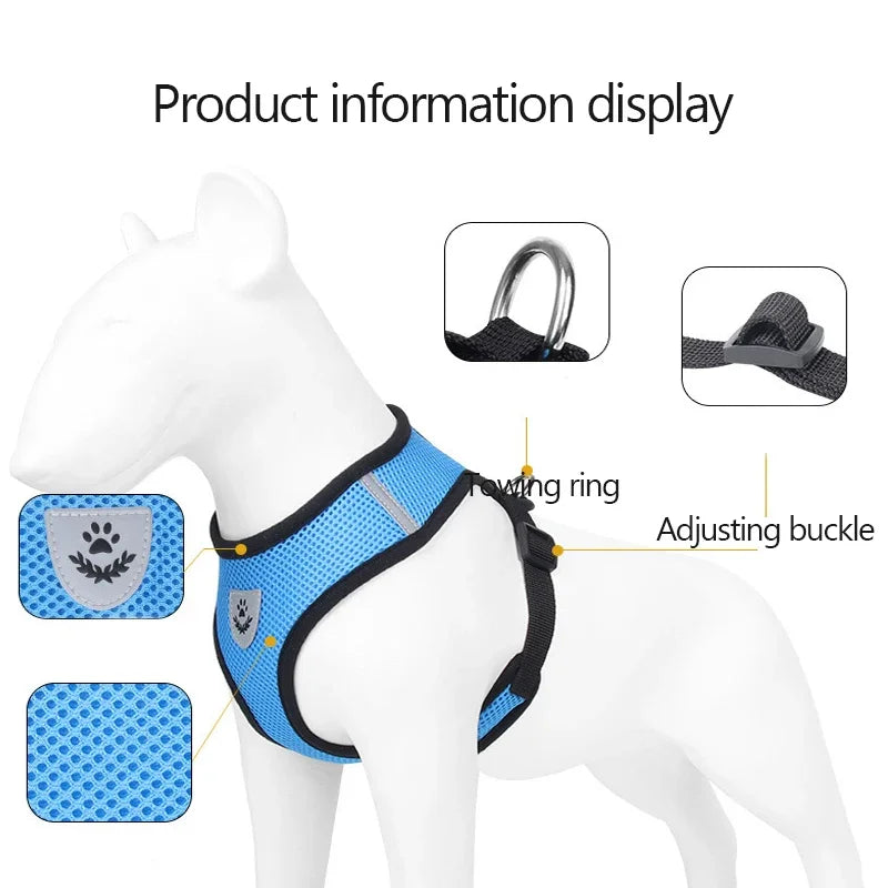 Cat Harness Vest Walking Lead Leash