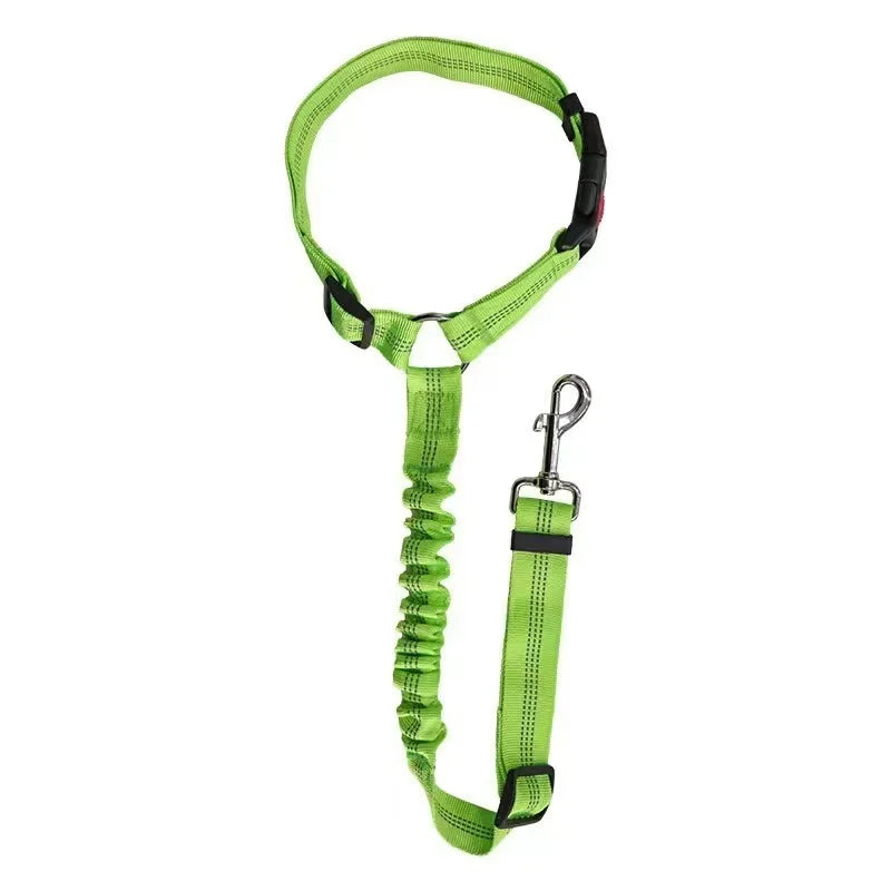 Pet harness dog leash