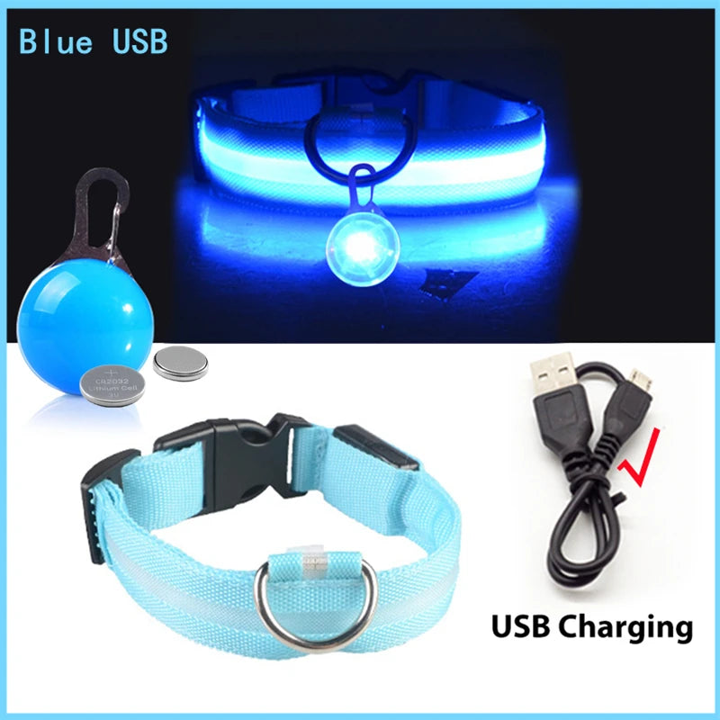 Charging Glowing Dog Collar
