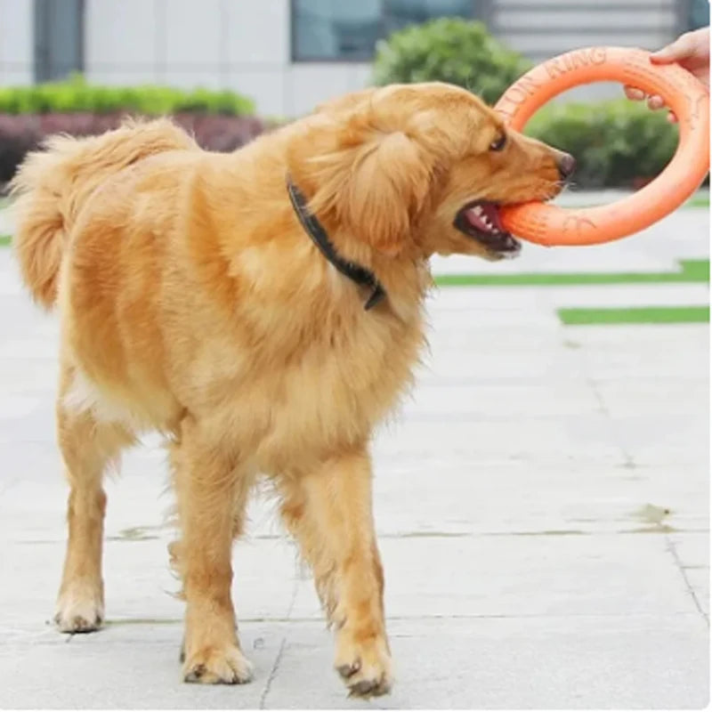 Orange Dog Toys