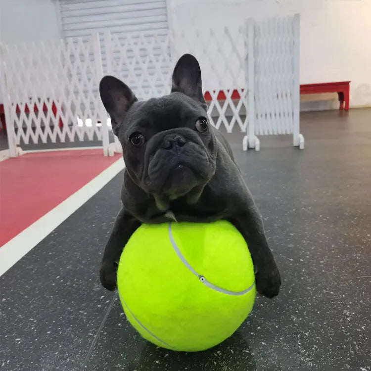 Dog Tennis Ball Giant Pet Toys