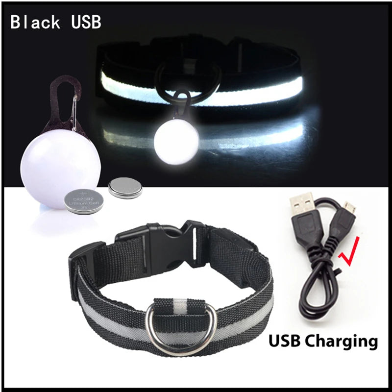 Charging Glowing Dog Collar