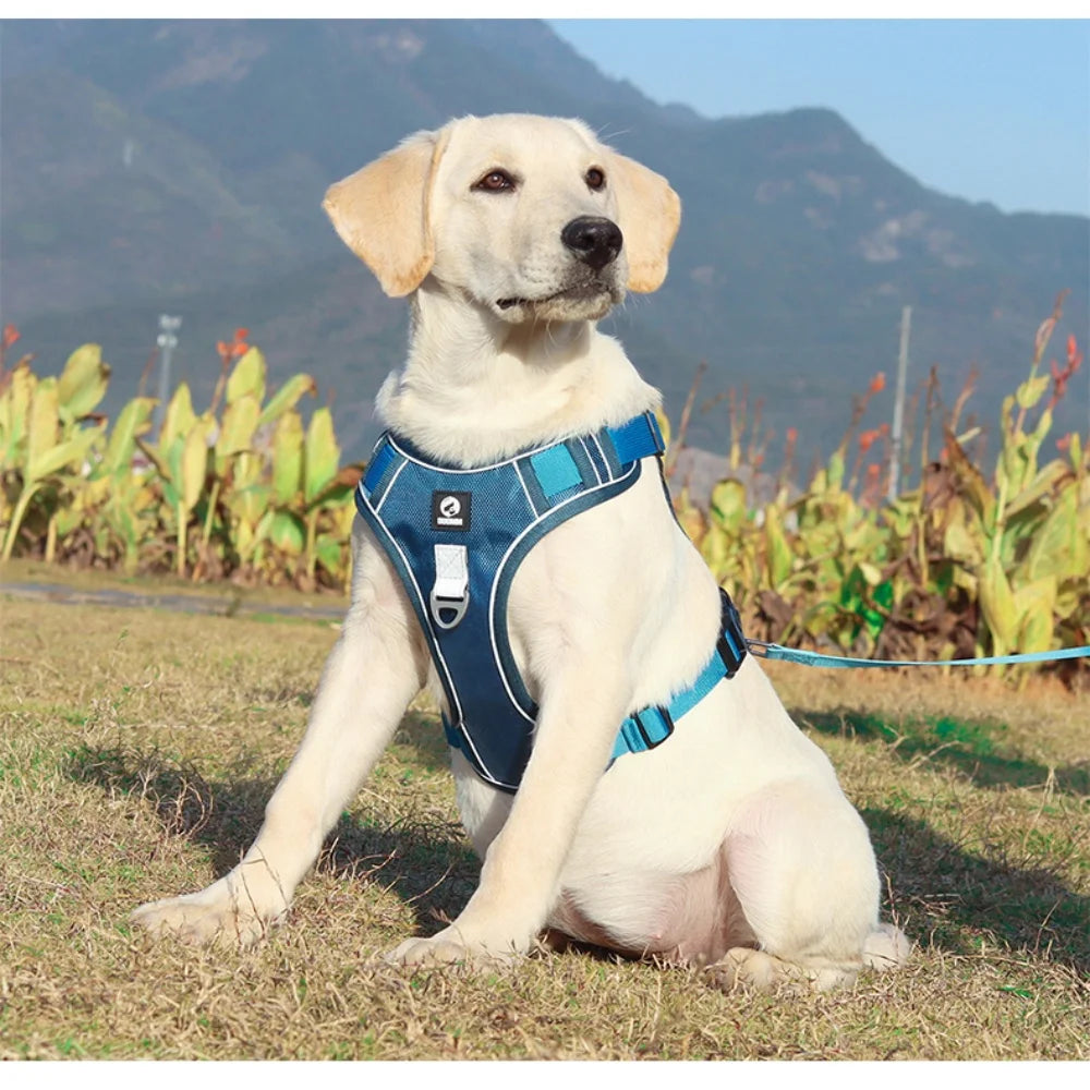 Reflective Adjustable Dog Harness