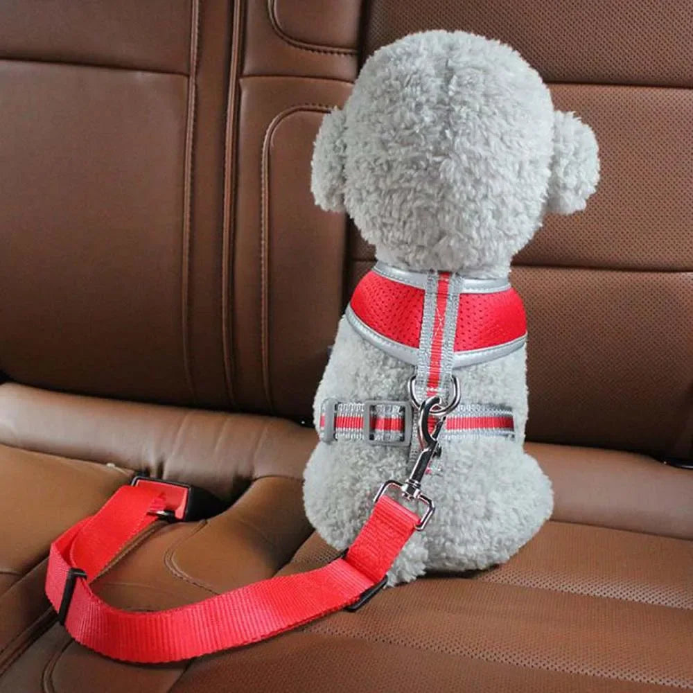 Pet Car Safety Buckle