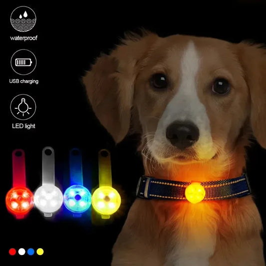 Dog collar, loss collar, weatherproof LED