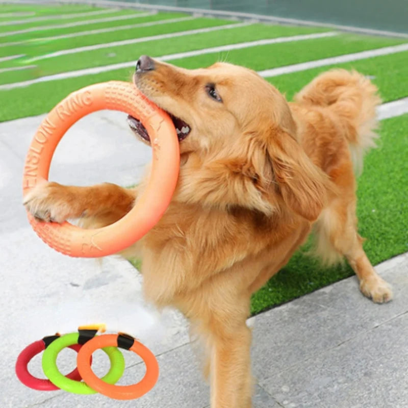 Orange Dog Toys