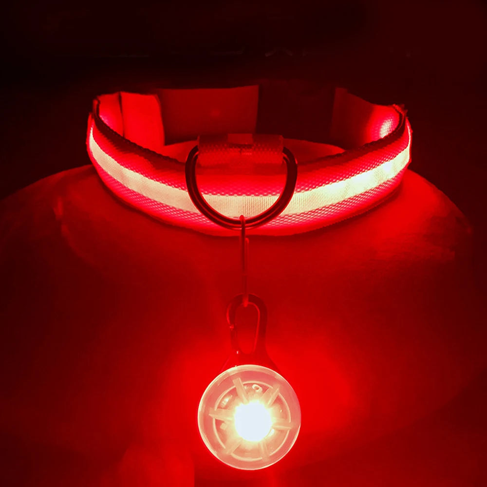 Charging Glowing Dog Collar