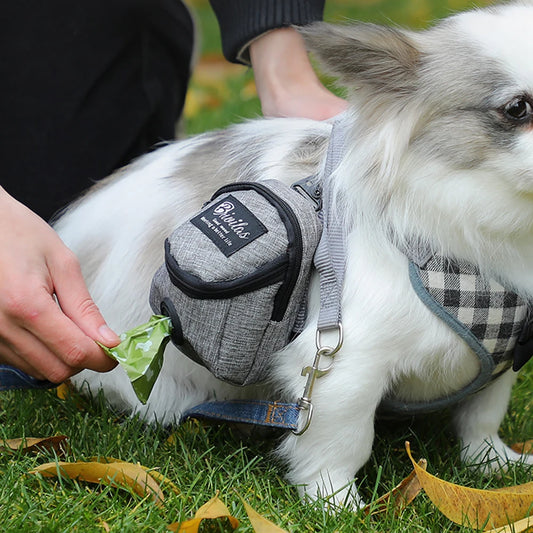 Multi Functional Dog Walking Bag