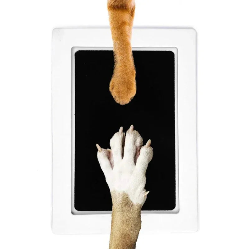 Cat Dog Paw