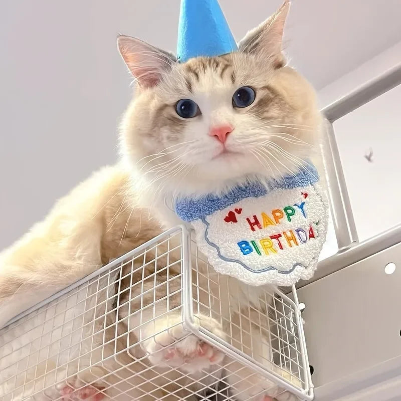 Adorable Dog Cat Puppy Birthday Hat