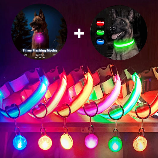 Charging Glowing Dog Collar