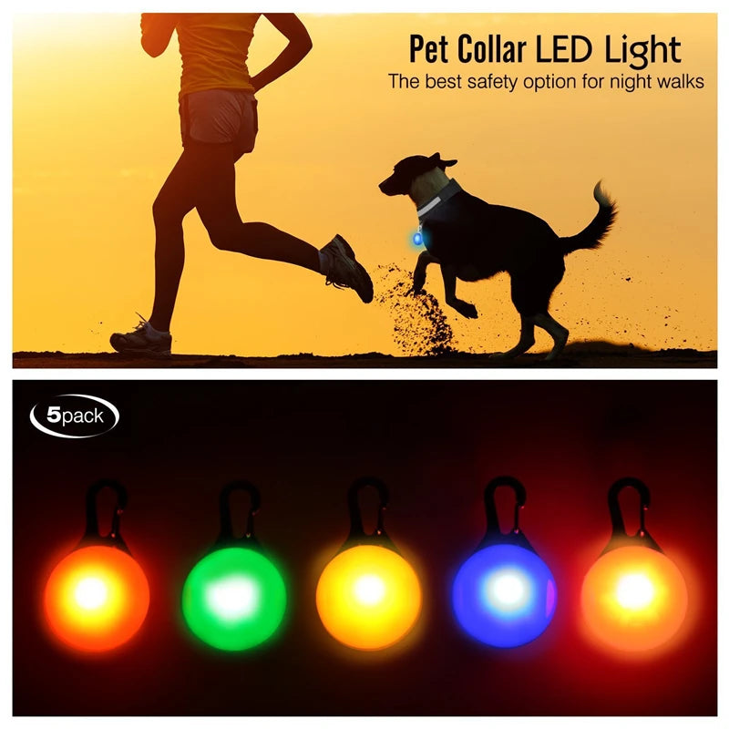 Charging Glowing Dog Collar