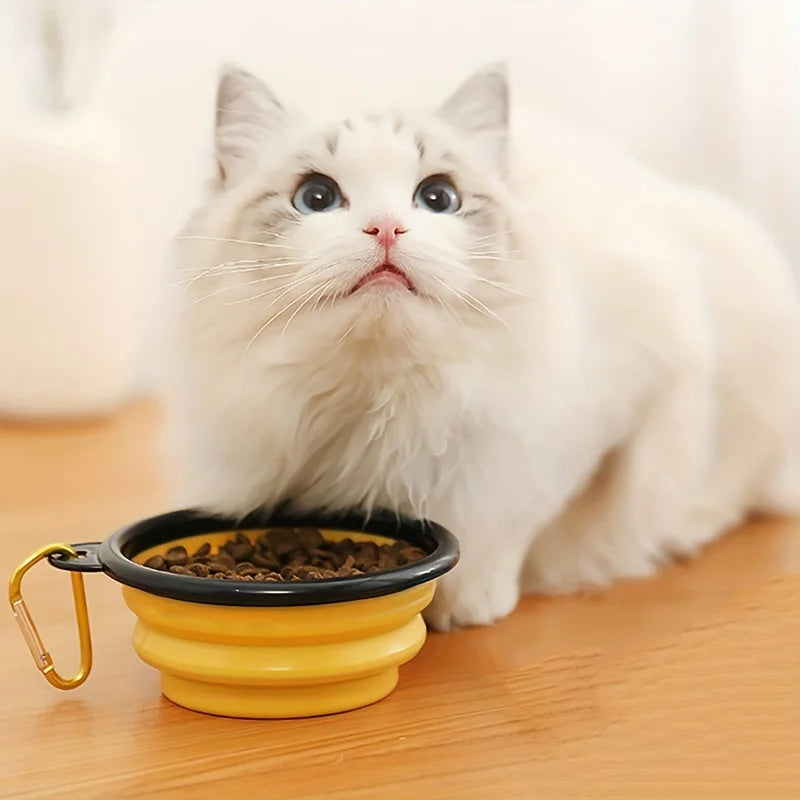 Frame Bowl with Keychain 350ML